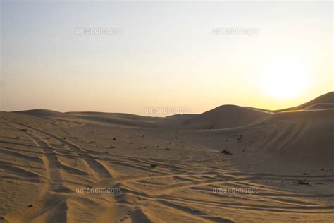 Scenic View Of Desert Against Clear Sky During Sunset 11100049968 の写真素材
