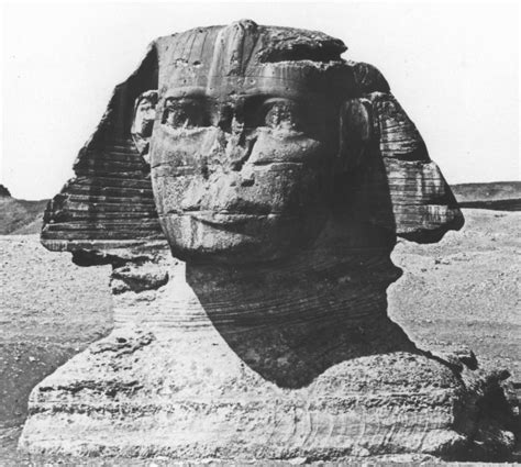 The Sphinx Nose