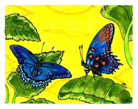 Red Spotted Purple Butterflies By Rainbowfay On Deviantart