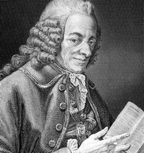 Tweets that inform, entertain, inspire, provoke, and call for justice. About Voltaire | Voltaire Foundation: Welcome - University ...