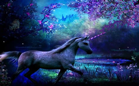 Unicorn Rainbow Wallpapers How Did The Unicorn Meme Develop Lovelytab