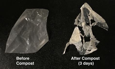Polymer Eating Enzymes Make Biodegradable Plastics Truly Compostable