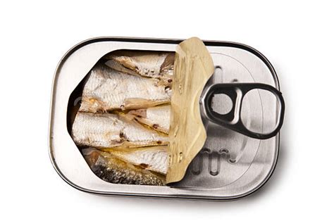 Sardine Can Stock Photos Pictures And Royalty Free Images Istock