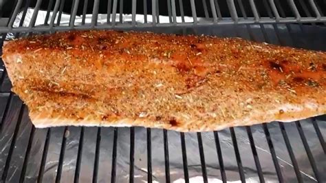11 smoked salmon recipes beyond bagels & lox. Smoked salmon on Traeger Pro34 smoker - YouTube