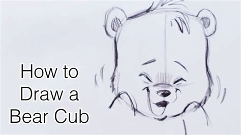 How To Draw A Bear Cub Step By Step Youtube