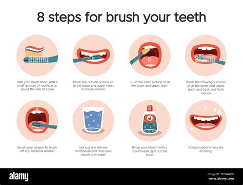 Dental Hygiene Infographic Oral Healthcare Guide Tooth Brushing For