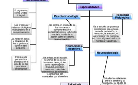 Download Mapa Conceptual De La Psicologia Como Ciencia Png Nietma