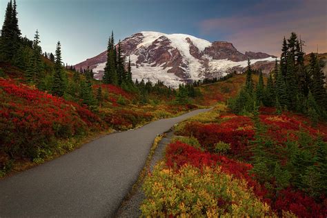 Mount Rainier Fall Colors Photograph By David Roberts Fine Art America