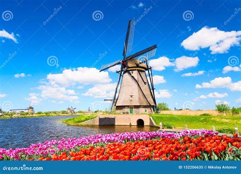 Colorful Spring Landscape In Netherlands Europe Famous Windmill In