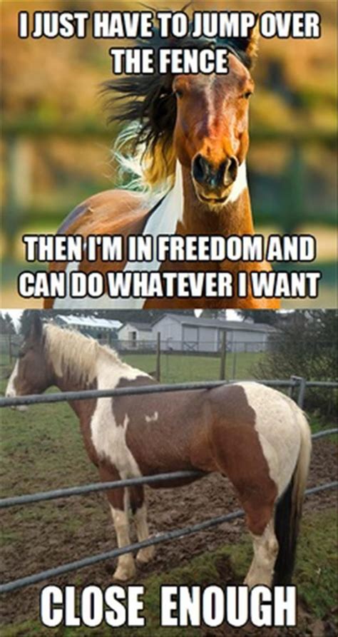 Pin By Kree Autumn On Animal Funny Funny Horse Pictures