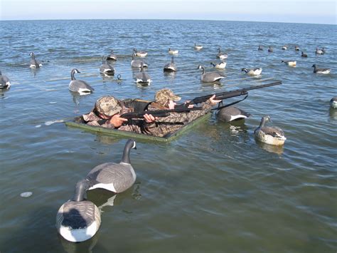 Goose Hunting Blinds
