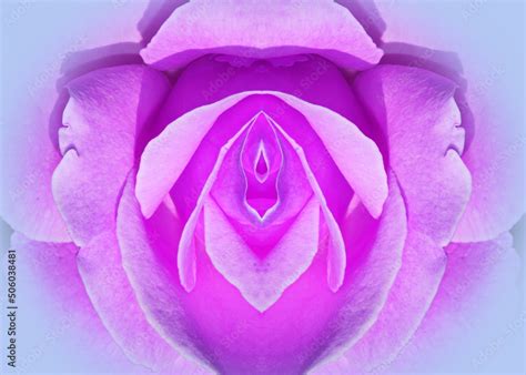 Sex Pussy Vulva Clitoris Vagina Orgasm Love Spring Bloom Petal Erotic Lily Flower