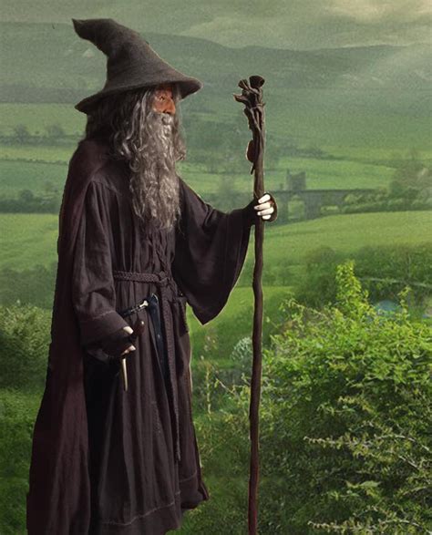 Gandalf The Grey Wizard Cosplay Costume Replica Lotr The Etsy
