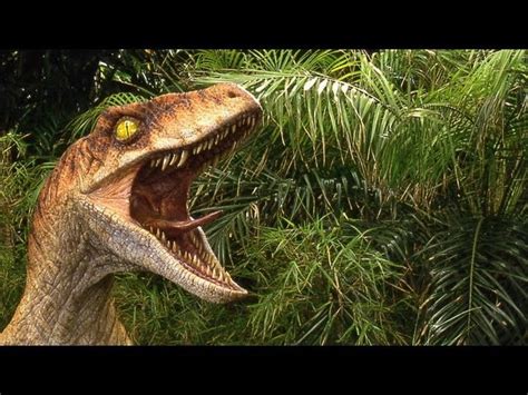 🔥 48 Jurassic World Velociraptor Wallpaper Wallpapersafari