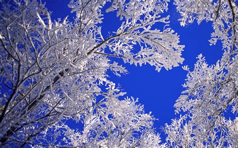 Free Download Beautiful Winter Images Viewing Gallery 1680x1050 For Your Desktop Mobile
