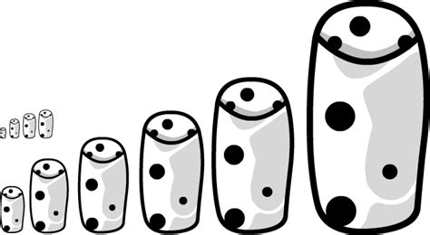 Si adivinaste correctamente la imagen, obtendrás puntos y monedas. Dibujar Y Adivinar / Adivinar El Dibujo Cokitos : Si te ...