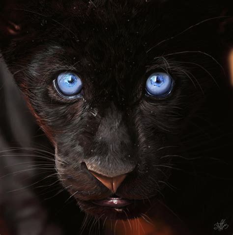 Black Panther By Carlosmatallanadiaz On Deviantart