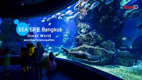 Sea Life Bangkok Ocean World ที่เที่ยวกรุงเทพ อควาเรียม ใจกลางเมืองกรุง