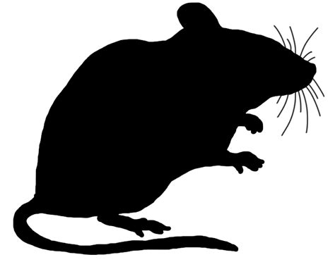 Transparent Mouse Clipart 20 Free Cliparts Download Images On