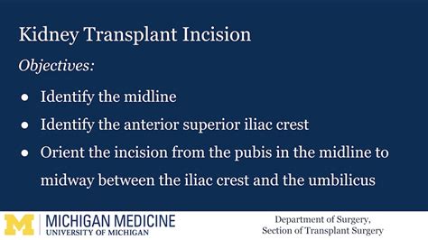 Kidney Transplant Incision Youtube