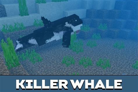 Download Whale Mod For Minecraft Pe Whale Mod For Mcpe