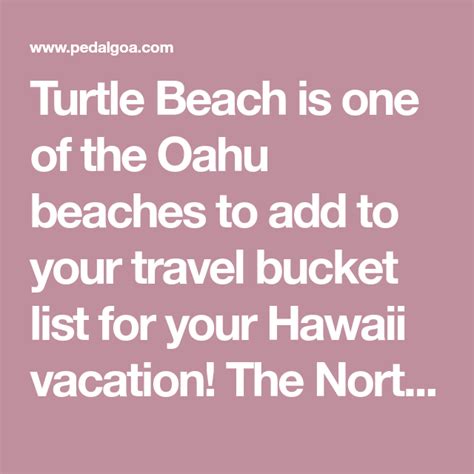 Where To See Turtles In Oahu Best Time To See Turtles Waikiki