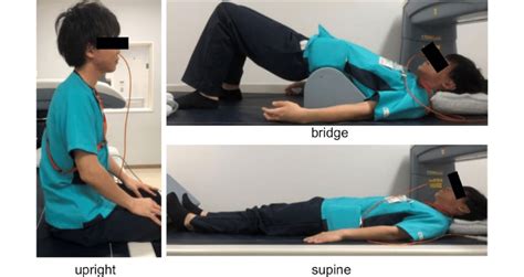 The Body Positions Illustrated Upright Supine Bridge Download Scientific Diagram
