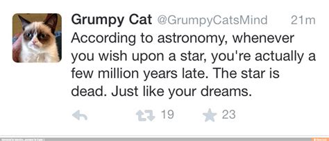 Grumpy Cat Grumpycatsmind 21m According To Astronomy Whenever You