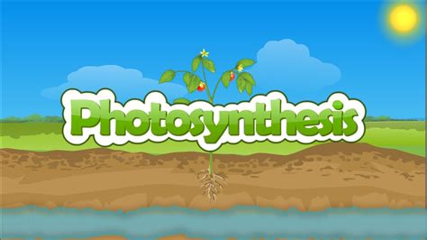 We did not find results for: Photosynthesis | How plants make food | Photosynthesis in ...