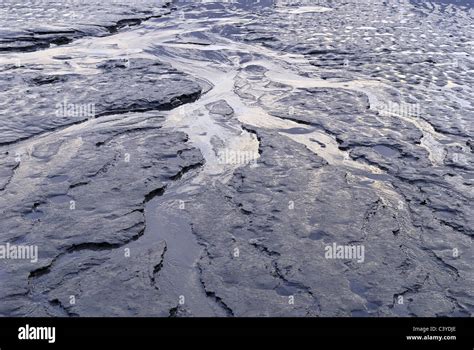 Turnagain Cook Inlet Alaska Usa America Brook Low Ebb Tide