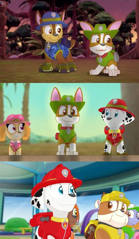 Paw Patrol Collage 2 Paw Patrol Marshall Paw Patrol Paw