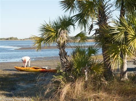 Cedar Keys Shell Mound A Sea Kayakers Playground Visit Natural