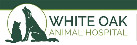 White Oak Animal Hospital Fredericksburg Va Veterinary Care