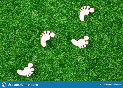 Ecological Concept Representing Wooden Footprints On Grass Stock Image