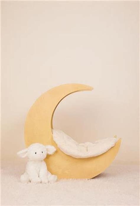 Buy Newborn Digital Backdrop Moon Sheep Stars Simple Neutral Boy Online