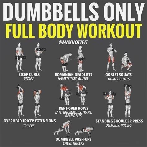 Dumbbell Training Plan ARMS All You Have At Home Are Dumbbells