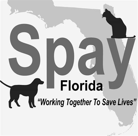 This is a growing international effort to curb feral cat populations by trapping, spaying or neutering, and then releasing feral cats. Spay / Neuter pets | Feral Cats | Low cost spay / neuter ...