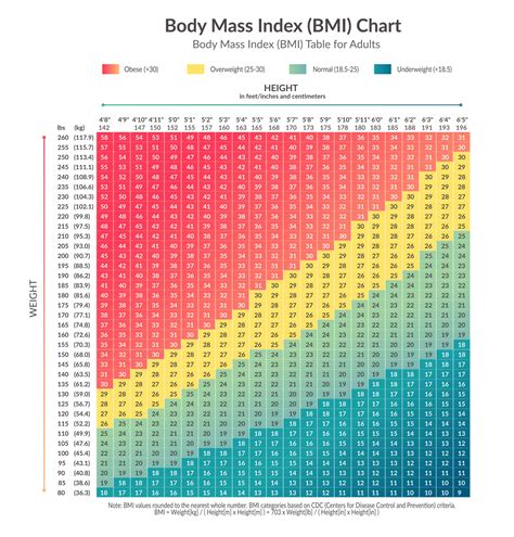 Medical Bmi Chart