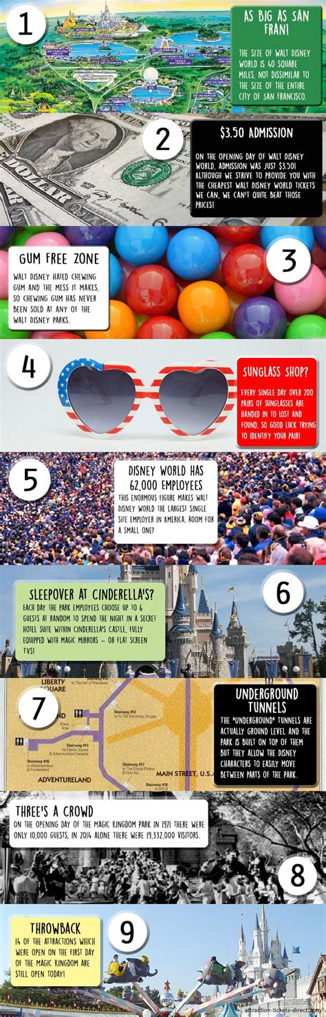 9 Incredible Walt Disney World Facts With Infographic