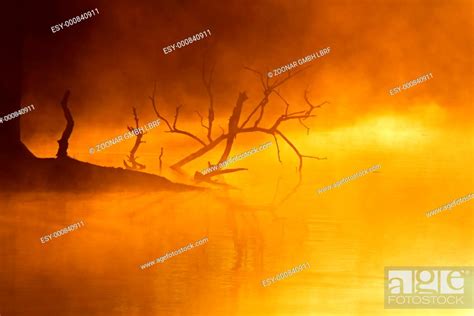 Mist Over Water Stock Photo Picture And Low Budget Royalty Free Image