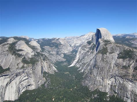 Whitekoi Giant Sequoia And Yosemite National Park