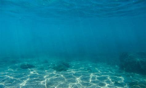 Underwater Rocks Pictures Download Free Images On Unsplash