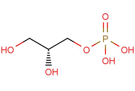 Sn Glycerol 3 Phosphate Endogenous Metabolite Targetmol