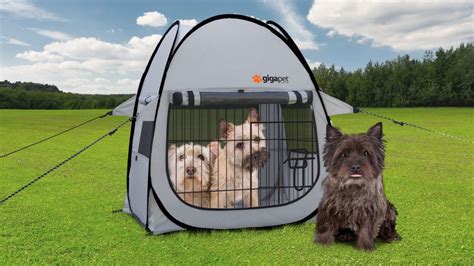 Gigatent 24” X 24 Pop Up Dog Tent Pet Bed With Fitted Foam Pad Easy