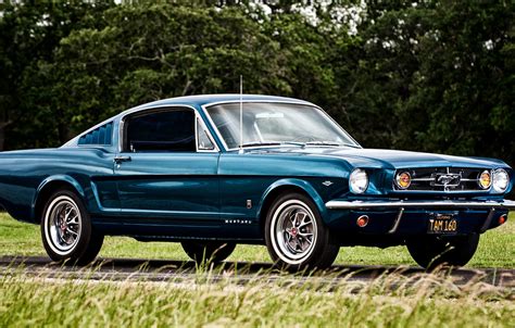 Wallpaper Mustang Ford Mustang Ford 1965 Fastback Images For