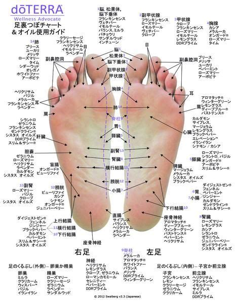 Gloss Hand And Foot Reflexology Chart Japanese Essential Oil