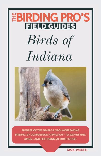 The Birding Pros Field Guides Birds Of Indiana The Birding Pros