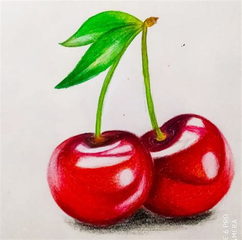 Red Cherry Fruit Art Drawings Realistic Pencil Drawings Prismacolor Art