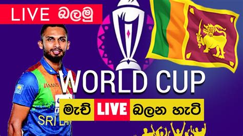 How To Watch Live Cricket World Cup 2023 Official Broadcasters