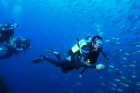 Scuba Diving New Zealand